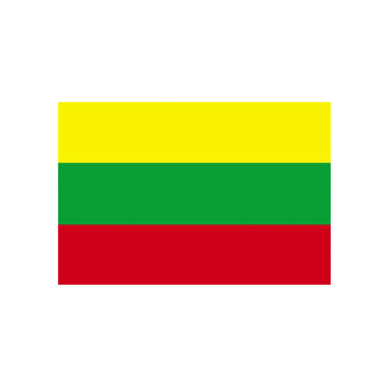 Lietuvos vėliava  kieto korpuso valčiai